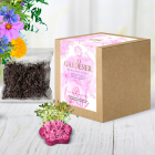 ÜLTETŐ SZETT NŐNAPRA