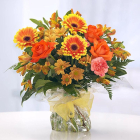 Narancsos - aquapack