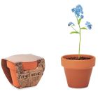 MINI ÜLTETŐ SZETT - Nefelejcs virágmagokkal