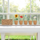 VIRÁGTERMESZTŐ KÉSZLET