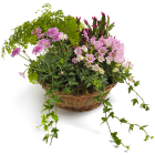 Rózsaszín kert - virágkosár