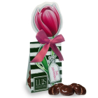 ÁFONYA ÉTCSOKOLÁDÉBAN - tulipános csomagolásban (50g)