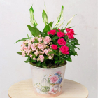 Rózsaszín szoba - növény összeültetés