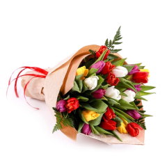 Tulipán csokor ajándékba