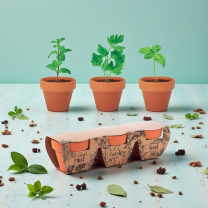 Fűszernövény szett nőnapra