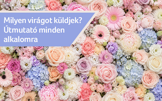 Milyen virágot illik küldeni? Útmutató minden alkalomra